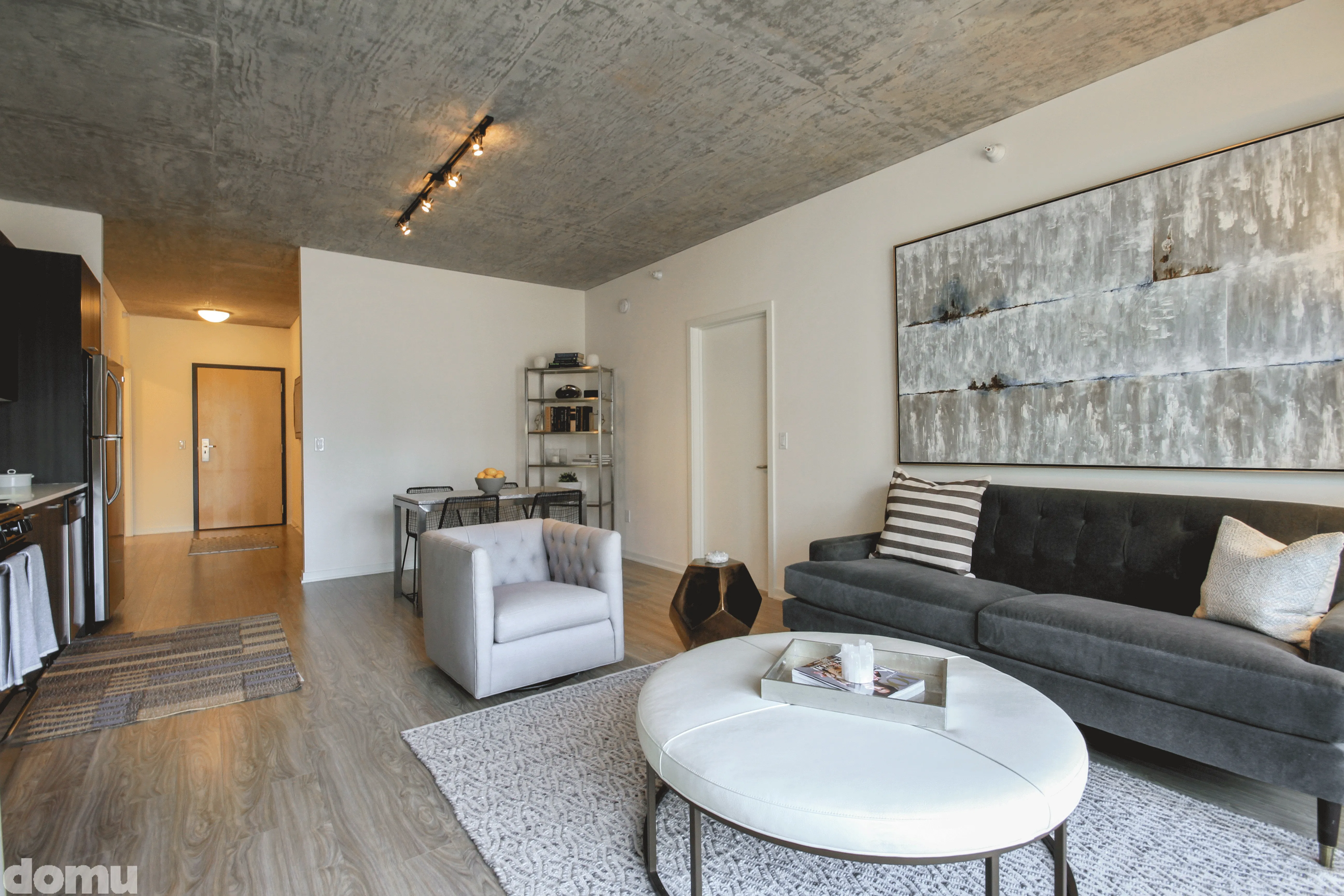 living room fuurnished at 1333 South Wabash Apartments South Loop Chicago