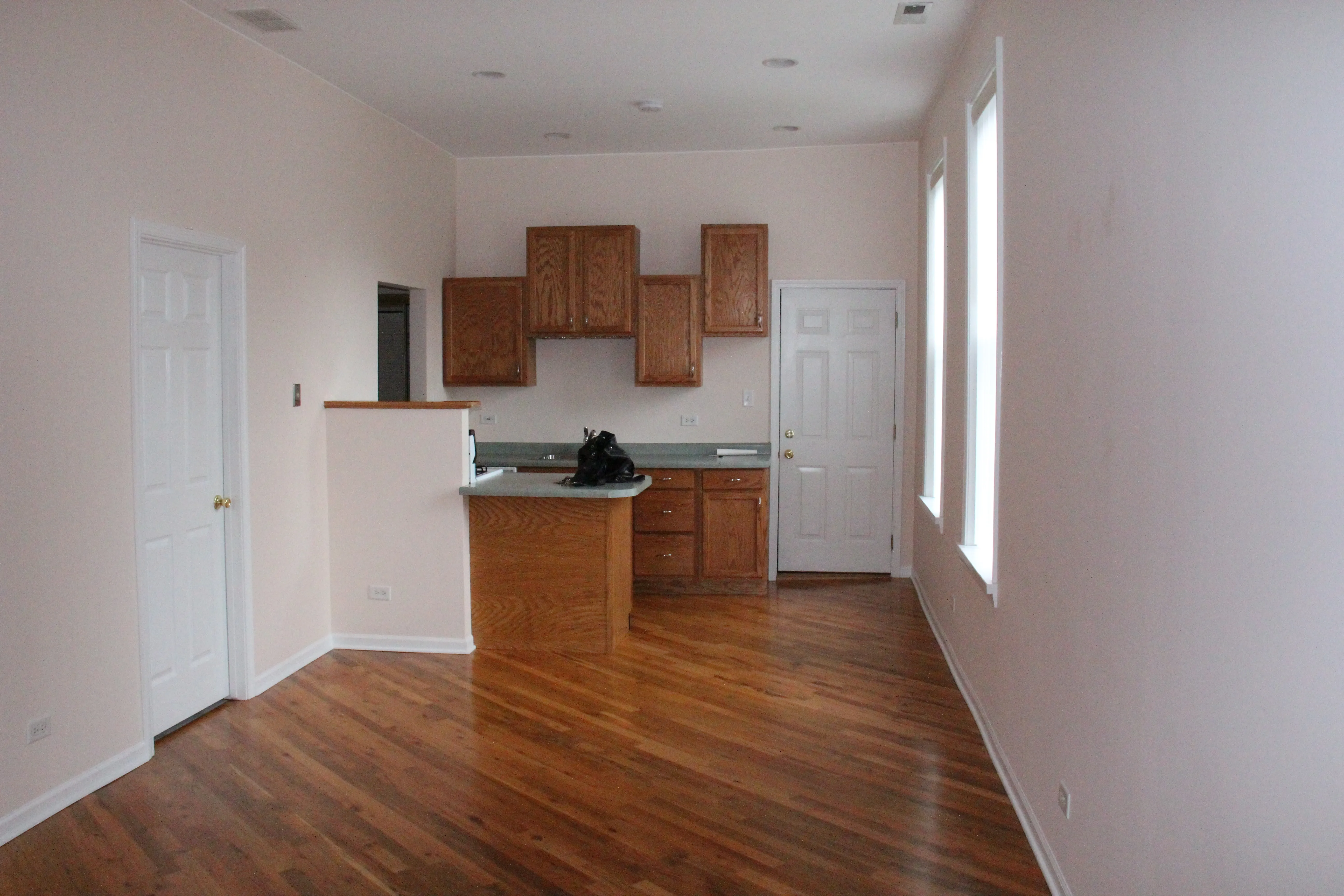 1242 N BOSWORTH AVE 60642-unit#2 -Chicago-IL