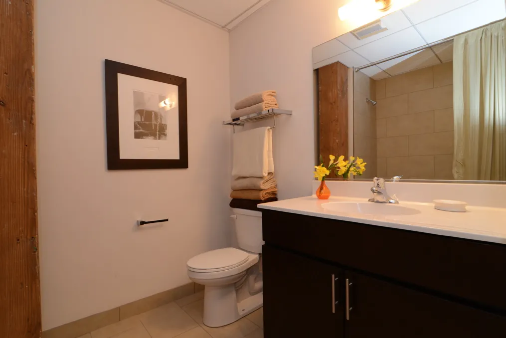 corner view of the historic Vesta Lofts in the south loop of chicago