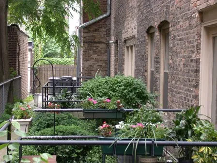 Buckingham Pews Lofts