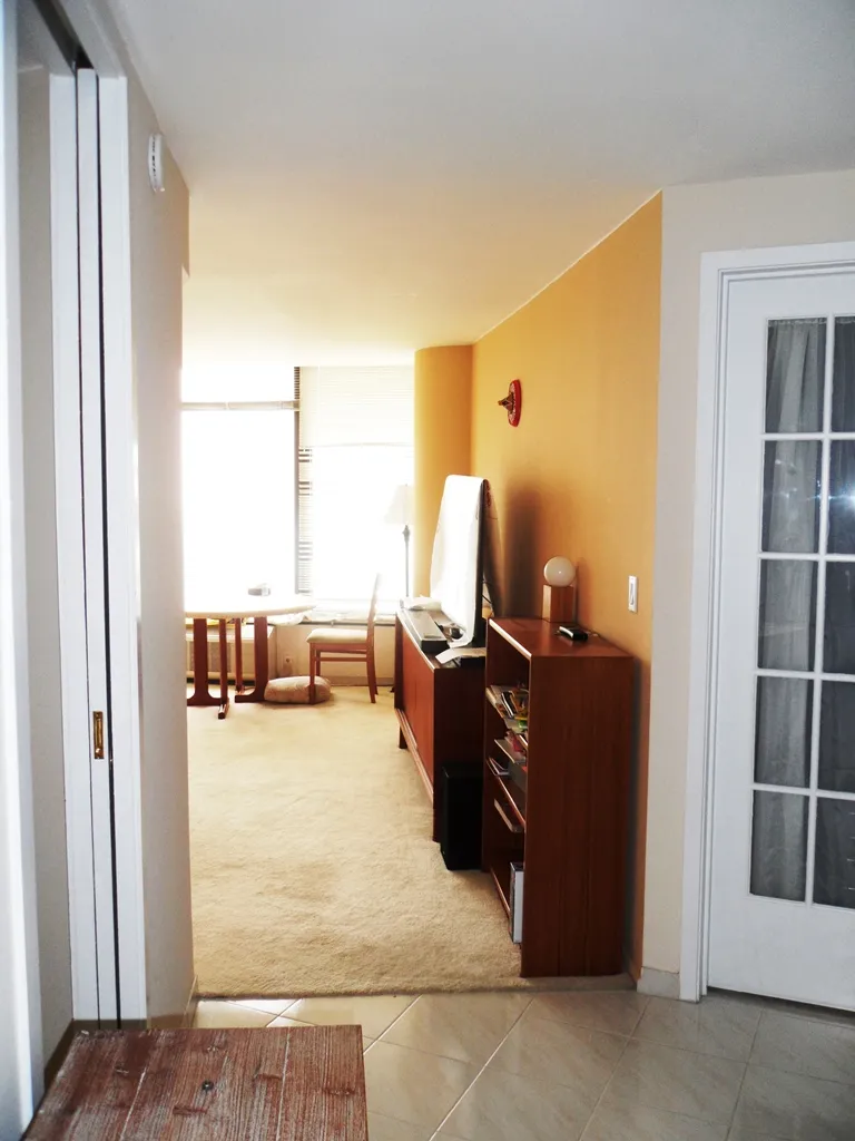 505 N LAKE SHORE DR 60611-LAKE POINT TOWER-unit#4005-Chicago-IL