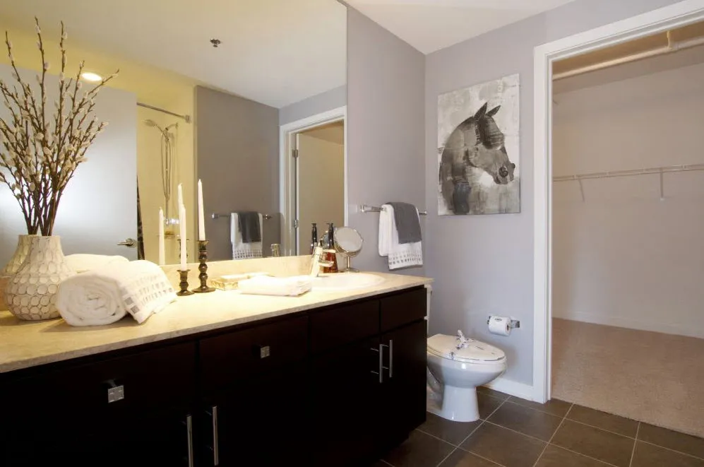 EnV Chicago Apartments