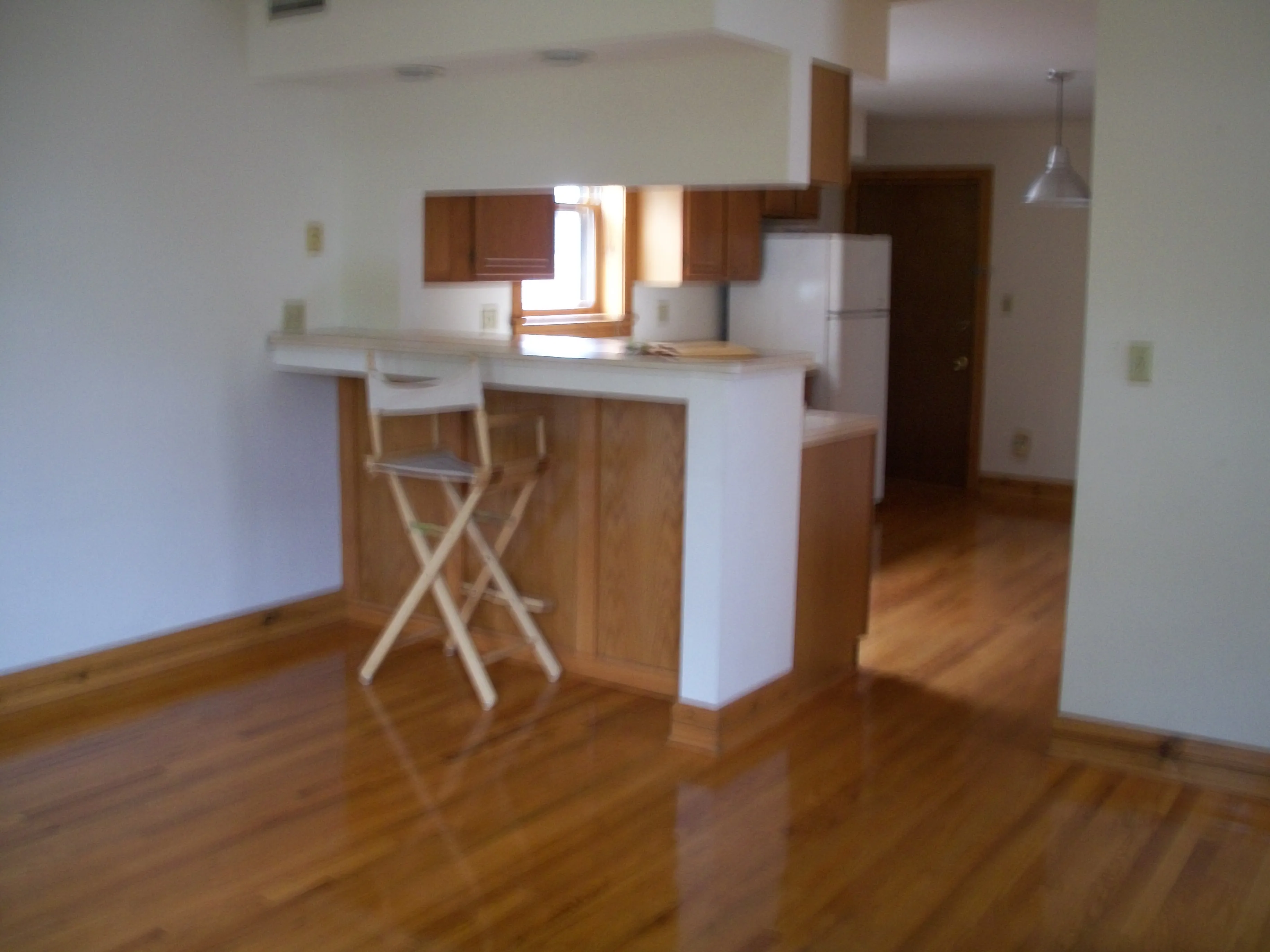 1337 W WOLFRAM ST 60657-unit#2-F-Chicago-IL