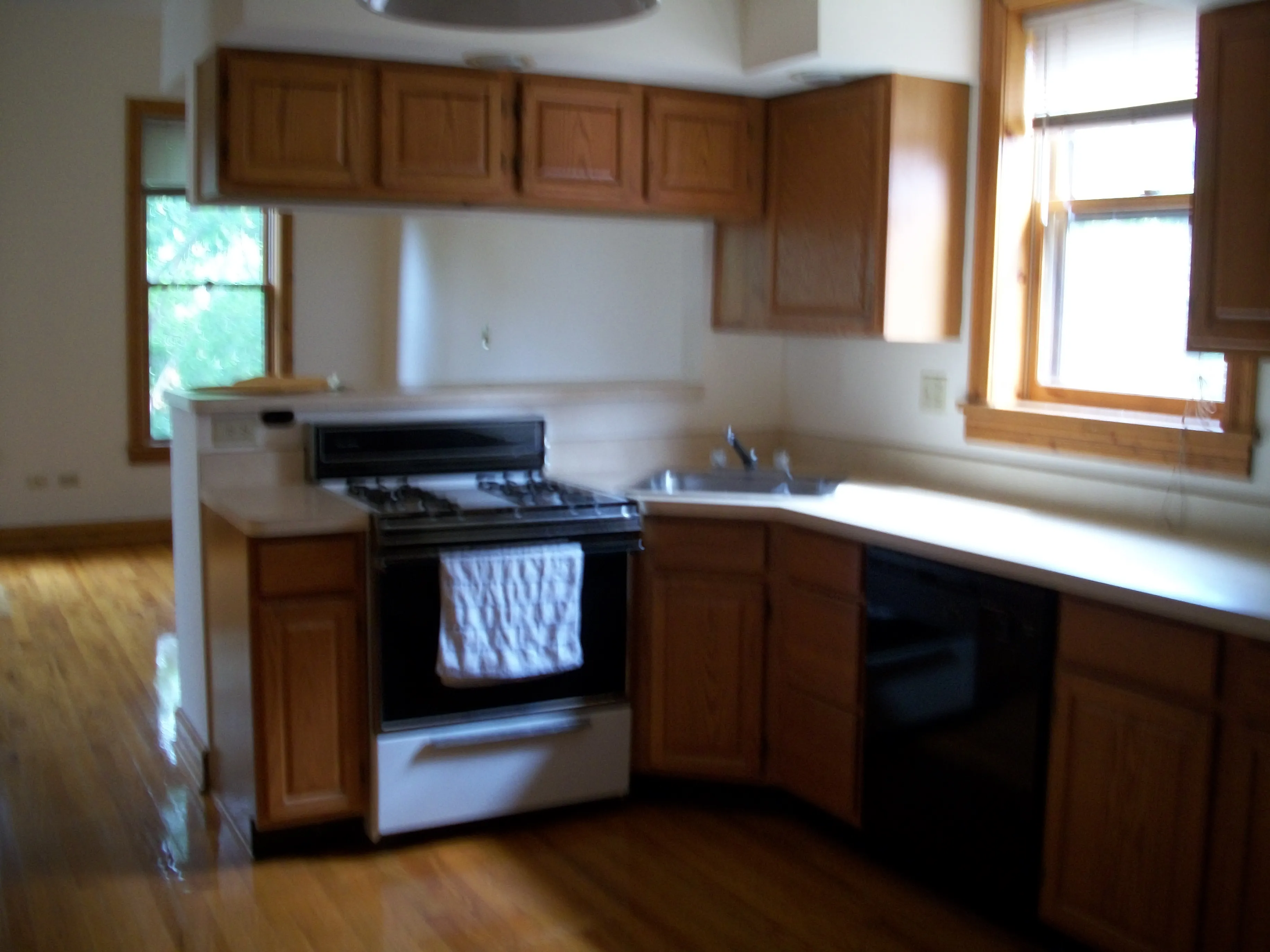 1337 W WOLFRAM ST 60657-unit#2-F-Chicago-IL