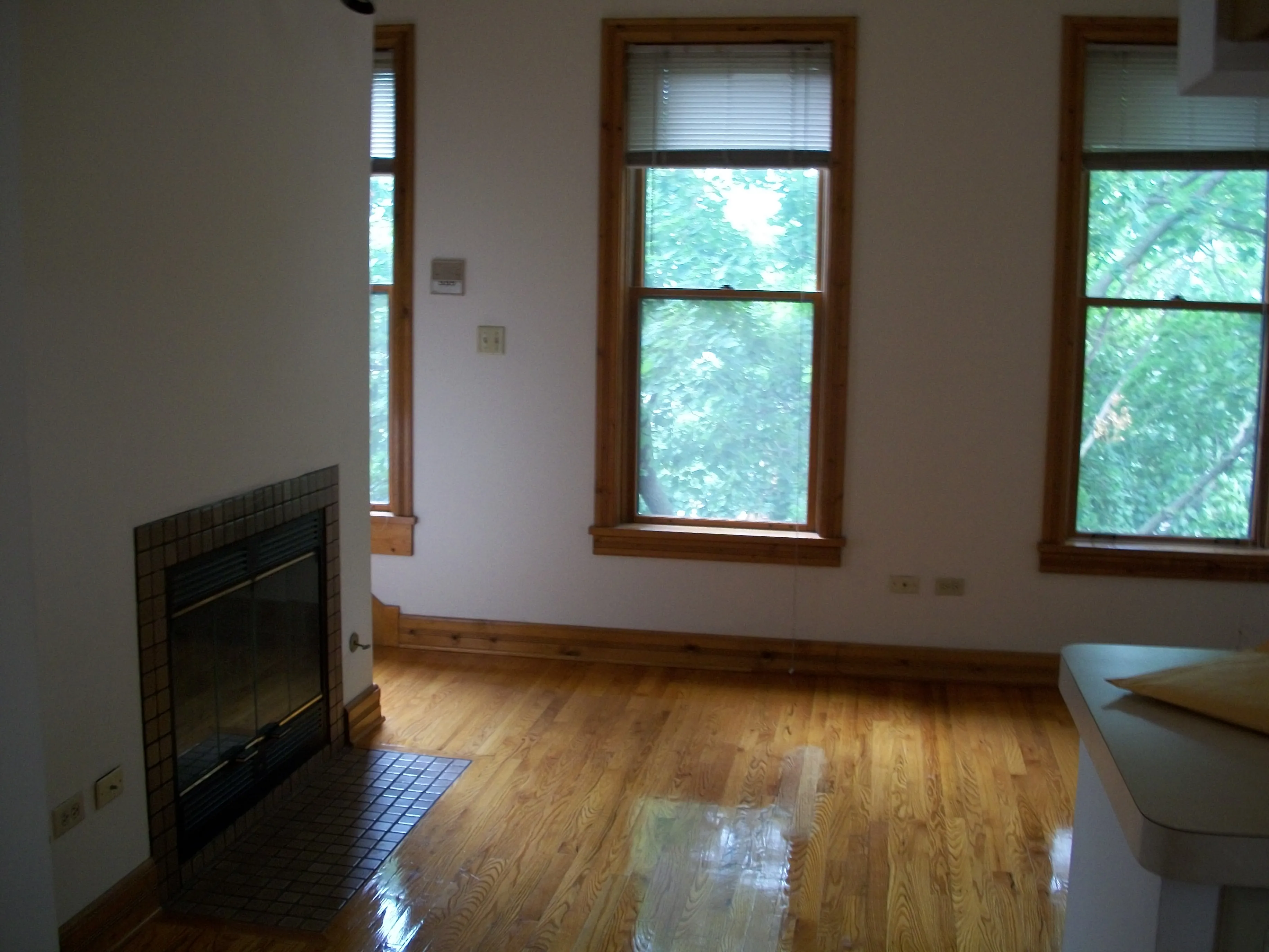 1337 W WOLFRAM ST 60657-unit#2-F-Chicago-IL