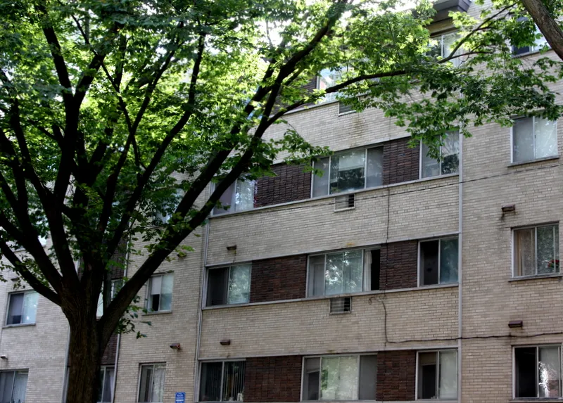 tree in front of tan brick building at 5620 N Kenmore Apartments