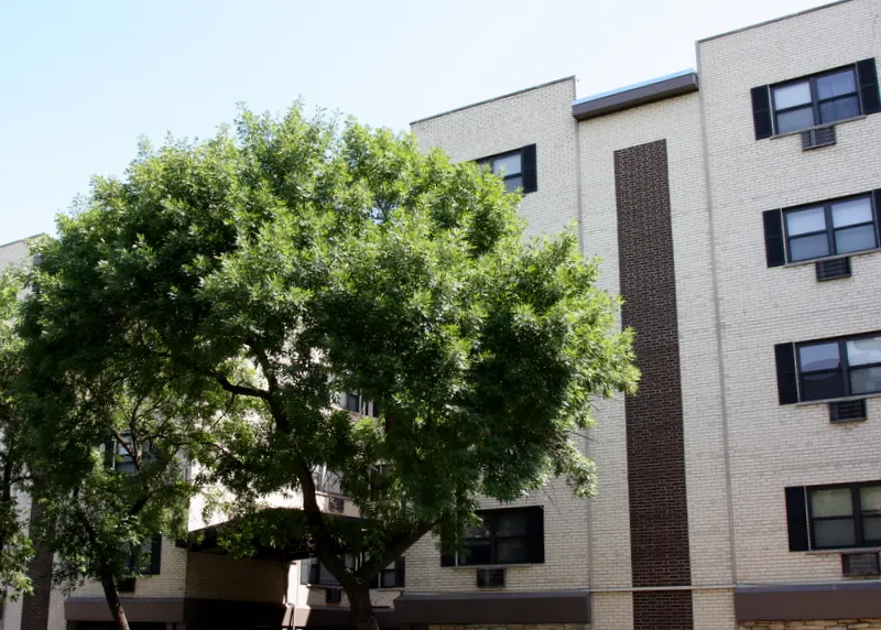 exterior of Sheridan Terrace Apartments with trees in front