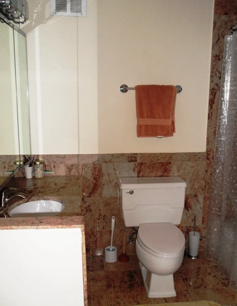 505 N LAKE SHORE DR 60611-LAKE POINT TOWER-unit#4005-Chicago-IL