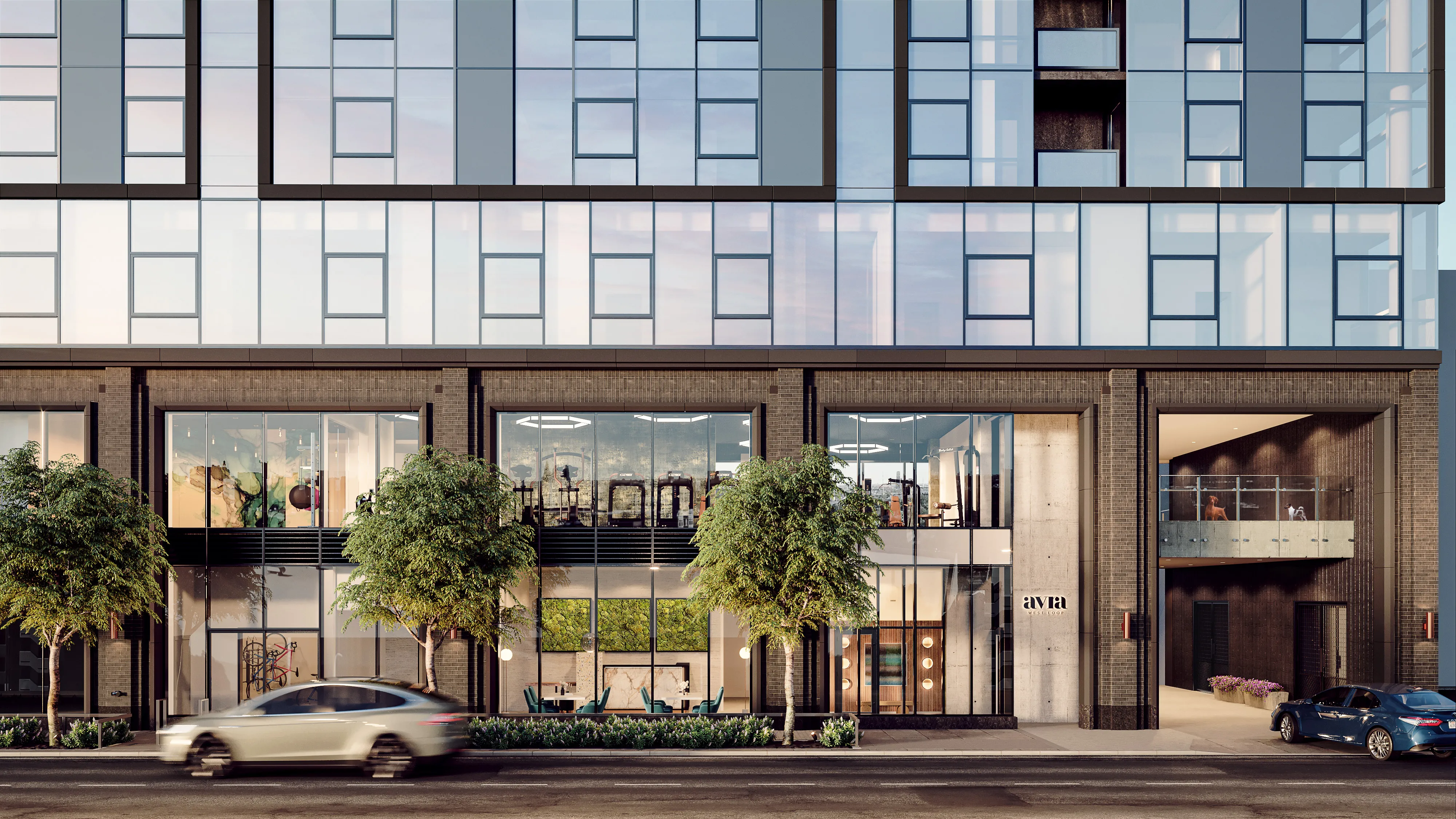 Avra West Loop Apartments