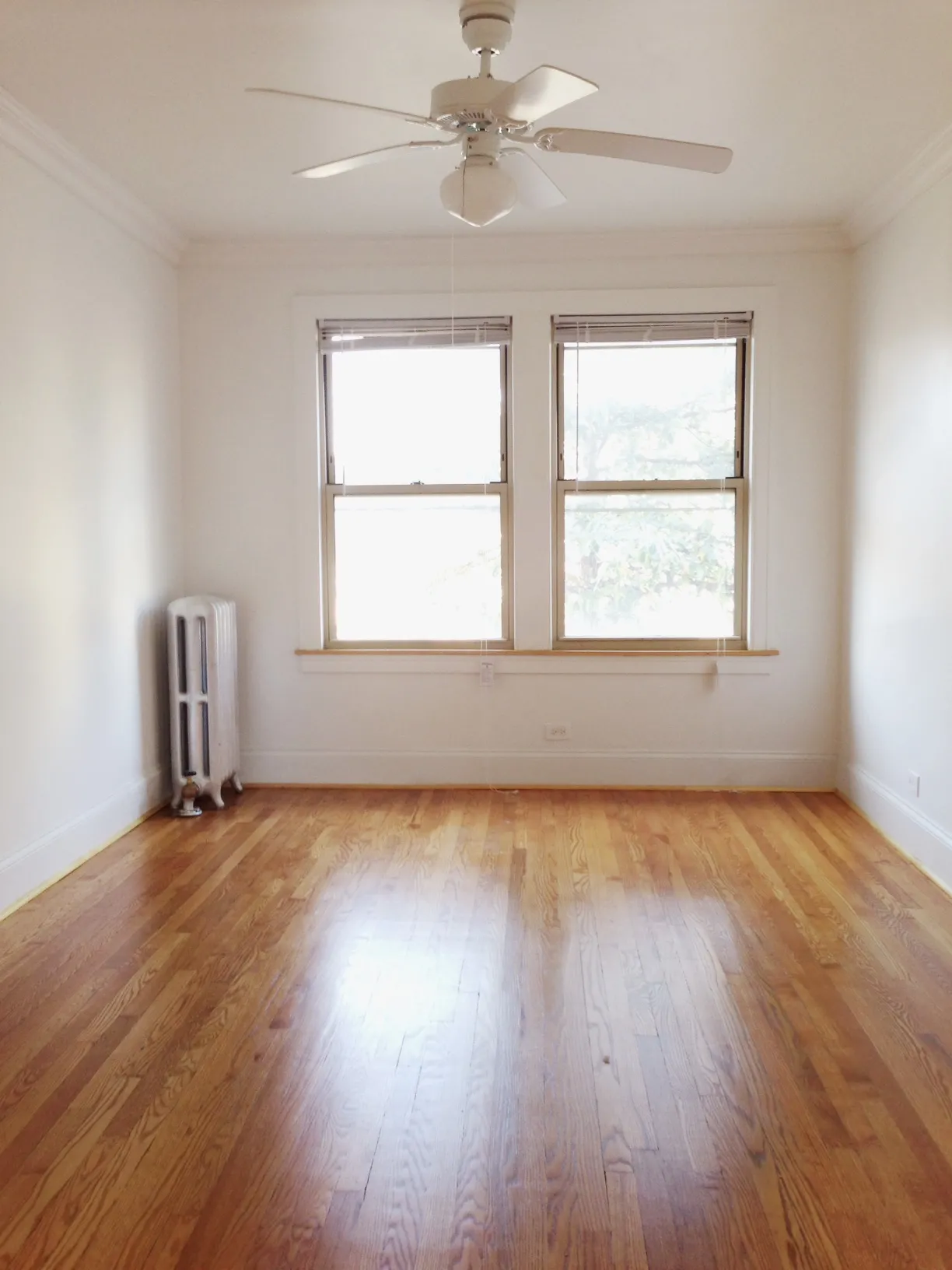 1149 West Addison Apartments