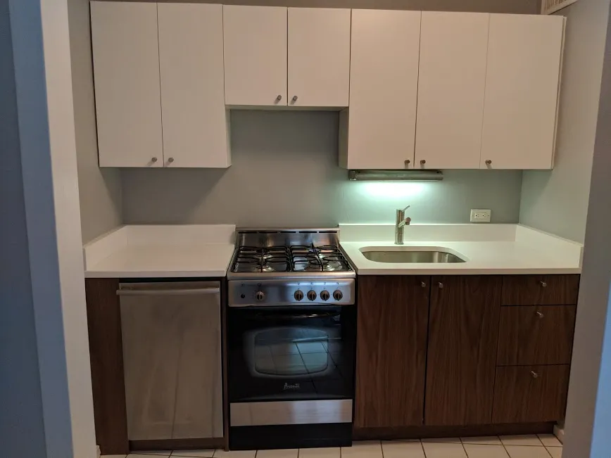 1150 N LAKE SHORE DR 60611-unit#14J-Chicago-IL