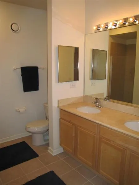 125 S JEFFERSON ST 60661-Park Alexandria-unit#2307-Chicago-IL