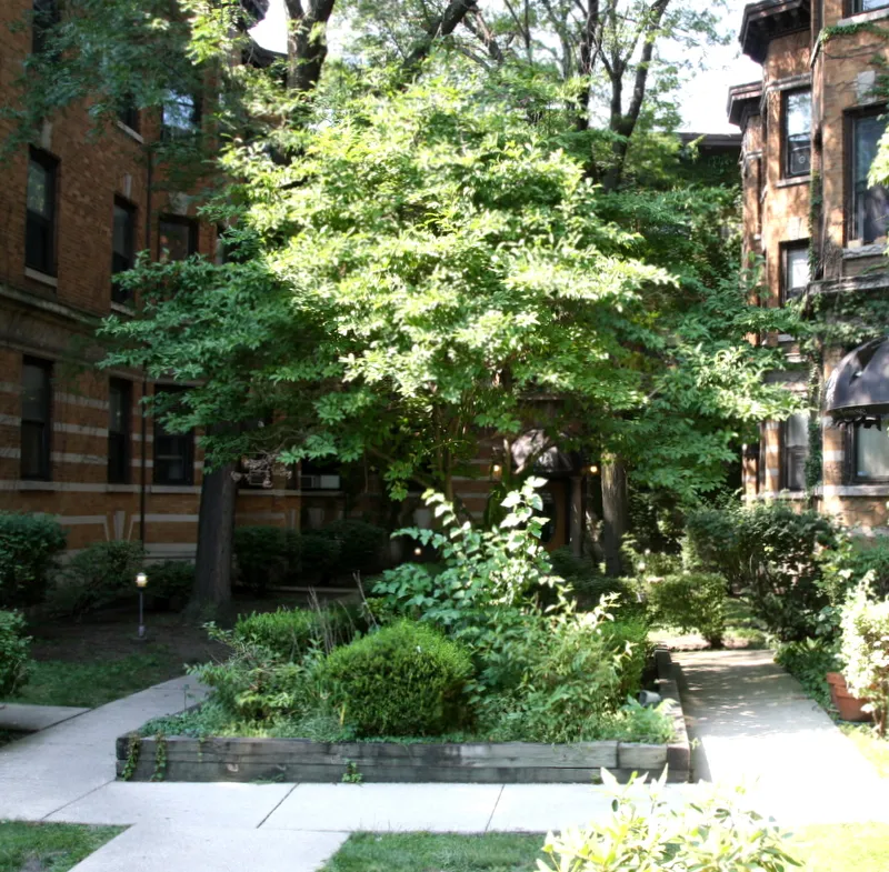 courtyard entry with plants at 3414-3424 North Elaine Place Apartments