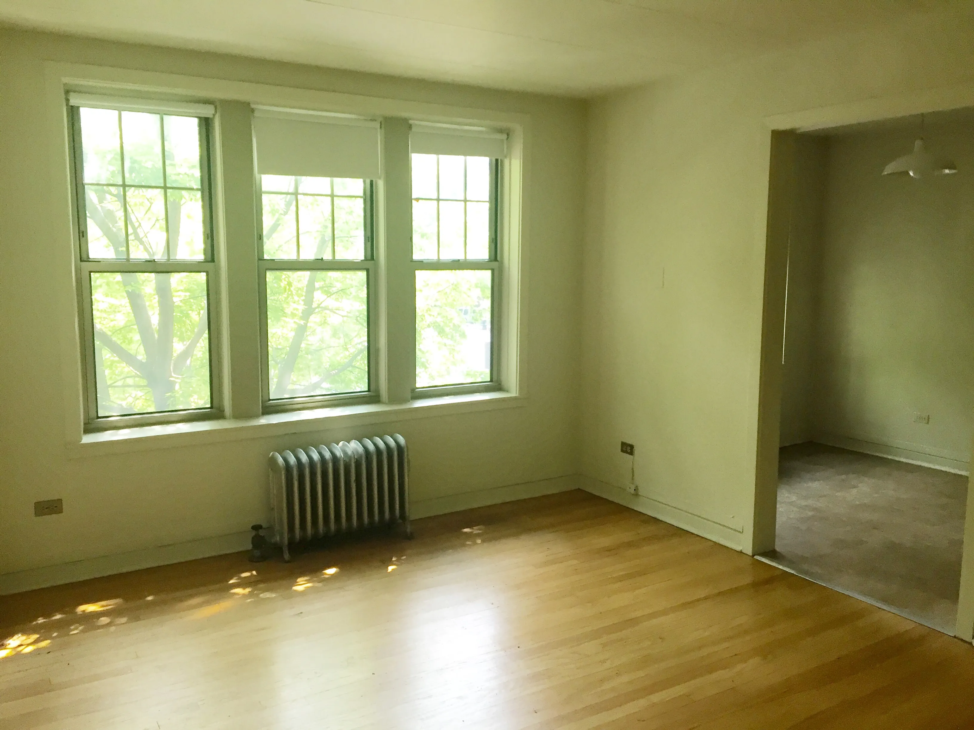 exterior shot with trees of 1310 East Hyde Park Apartments