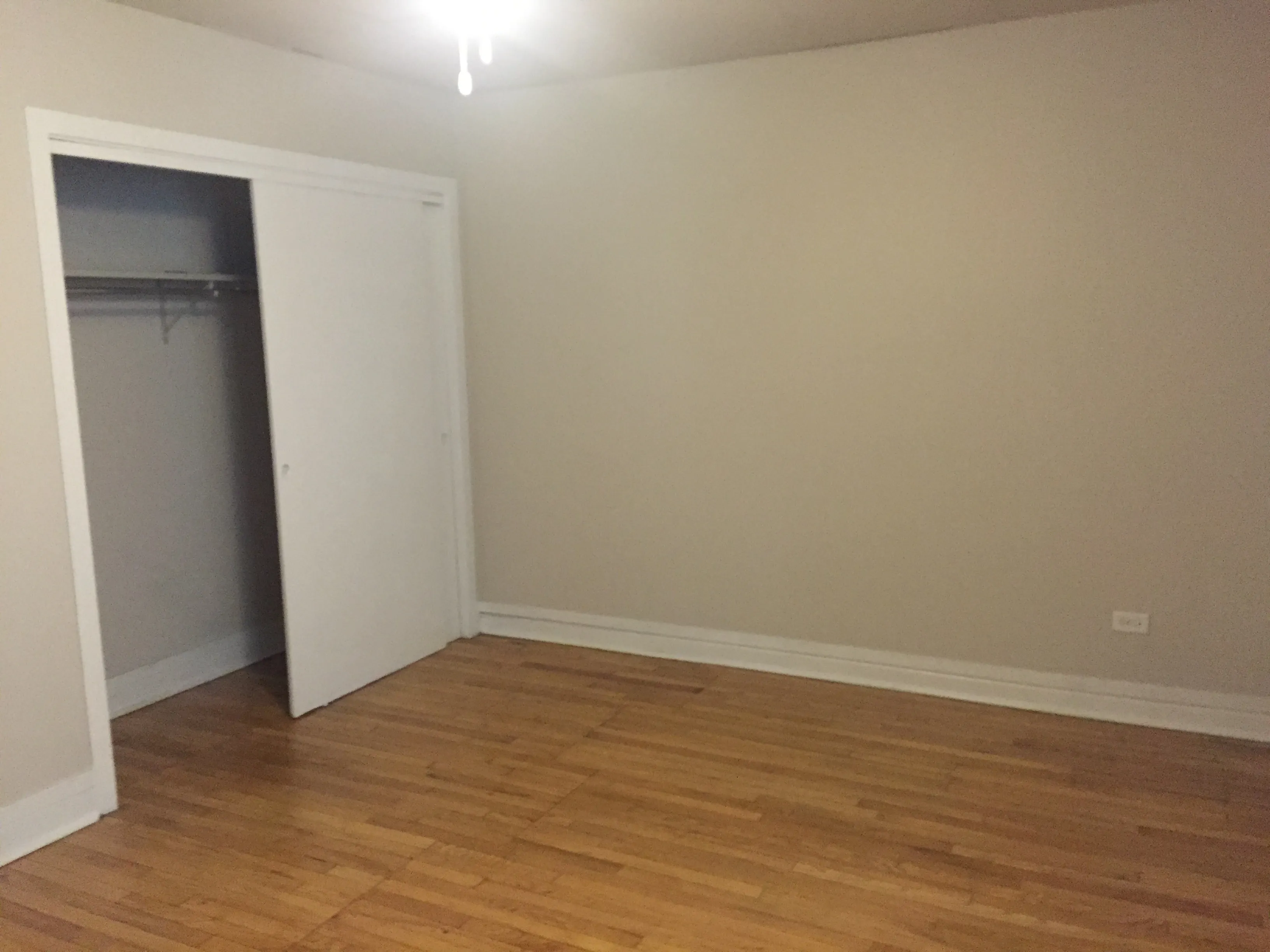 exterior shot with trees of 1310 East Hyde Park Apartments