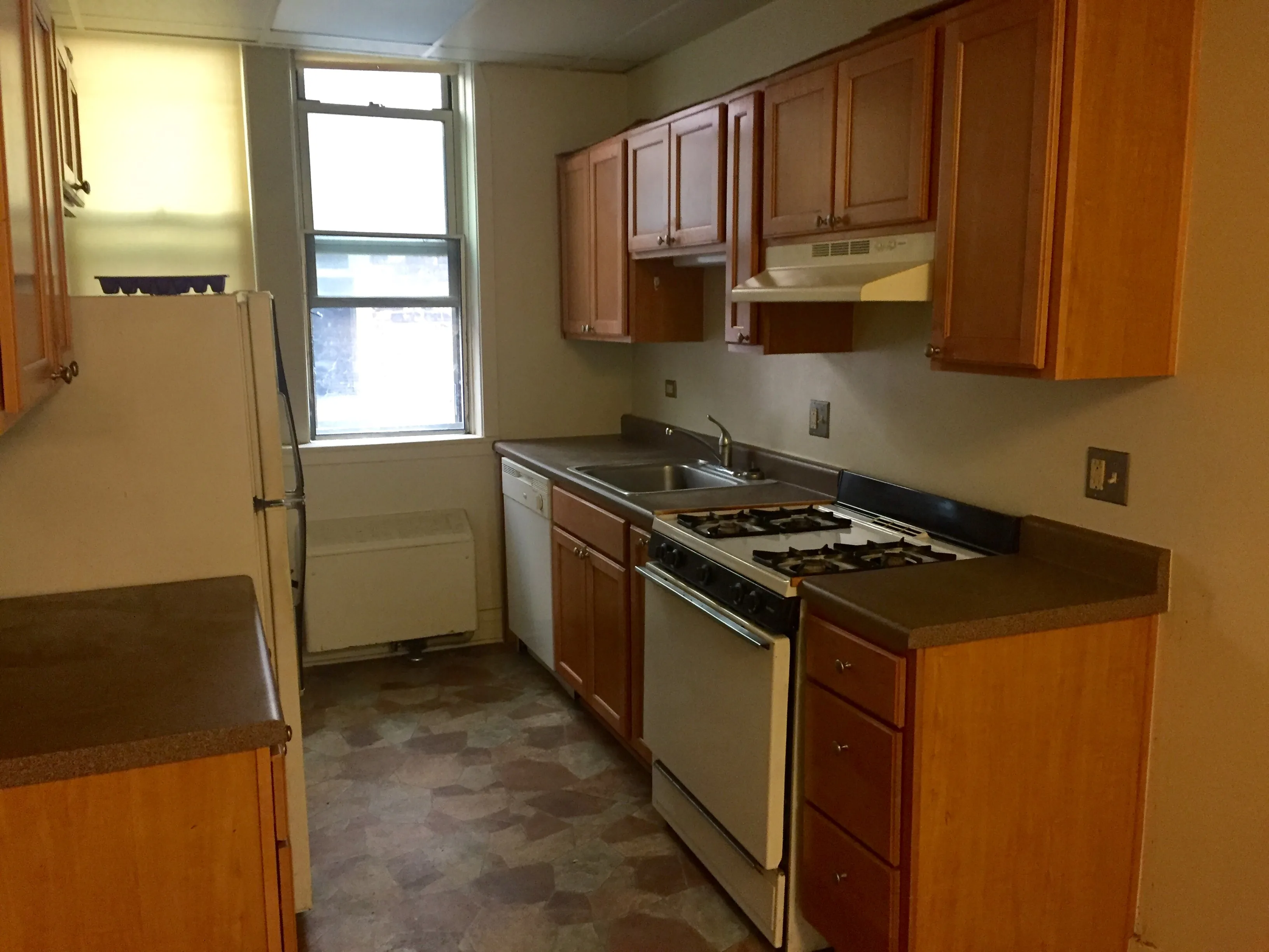 exterior shot with trees of 1310 East Hyde Park Apartments