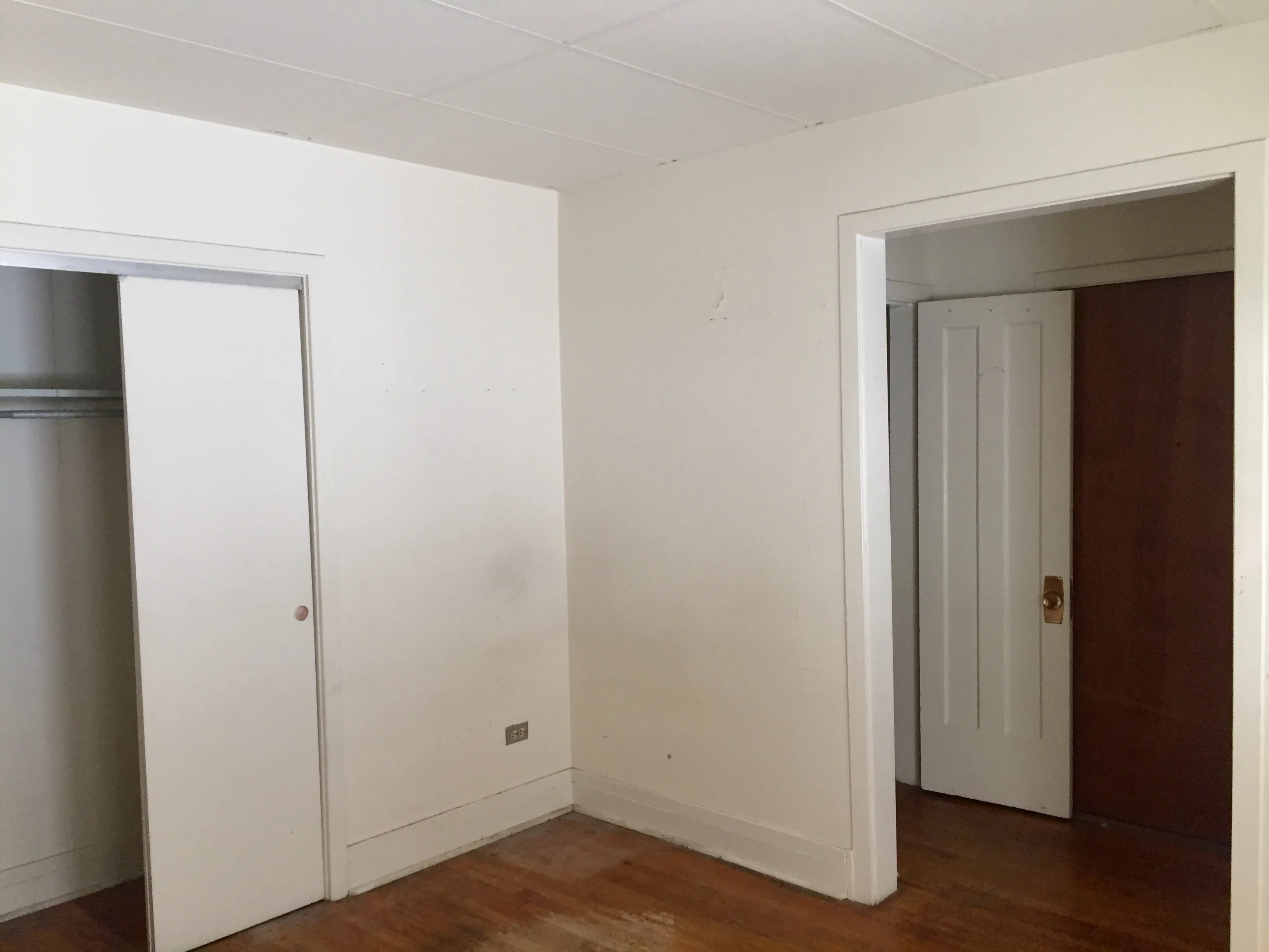 exterior shot with trees of 1310 East Hyde Park Apartments