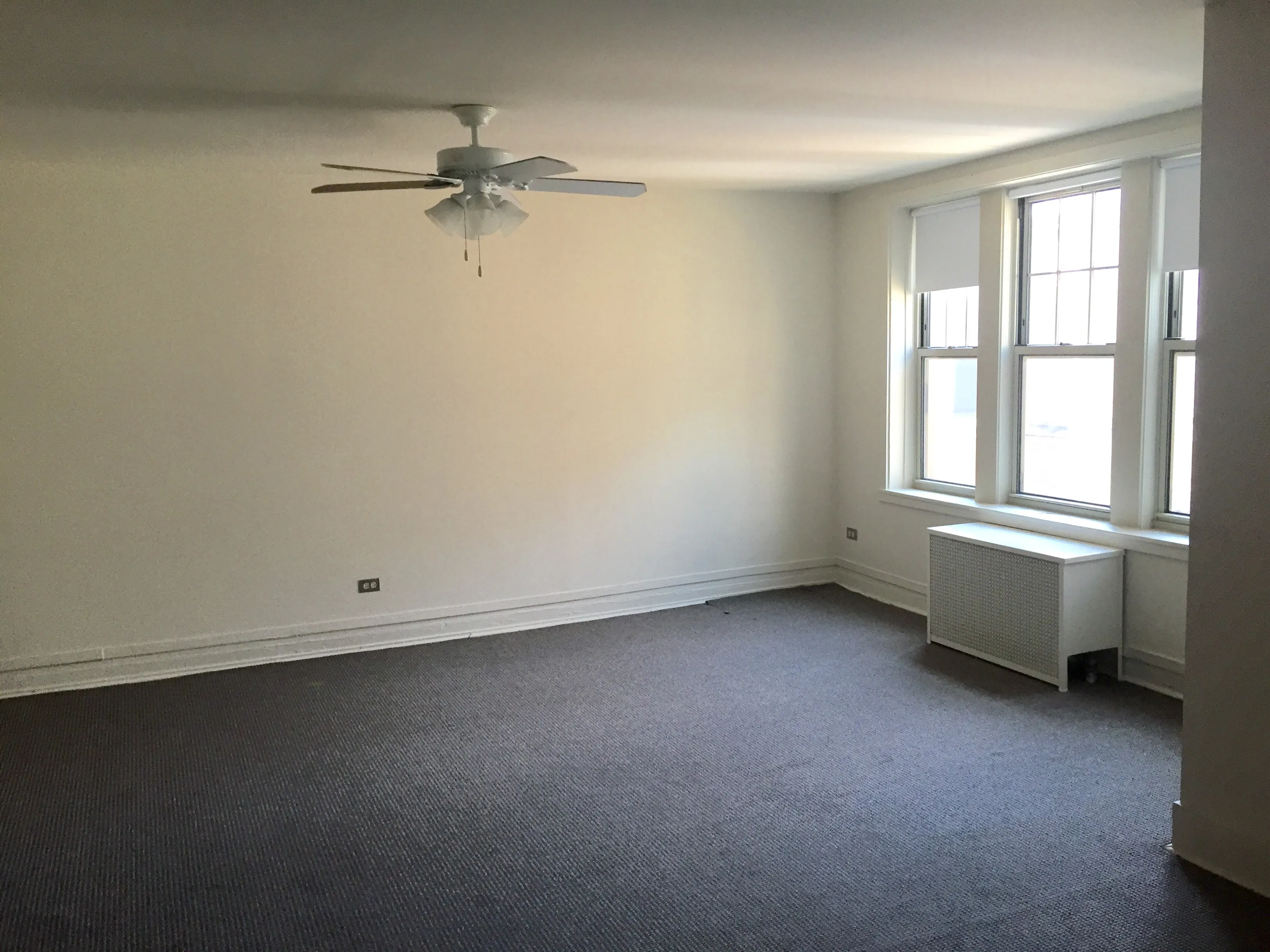 exterior shot with trees of 1310 East Hyde Park Apartments