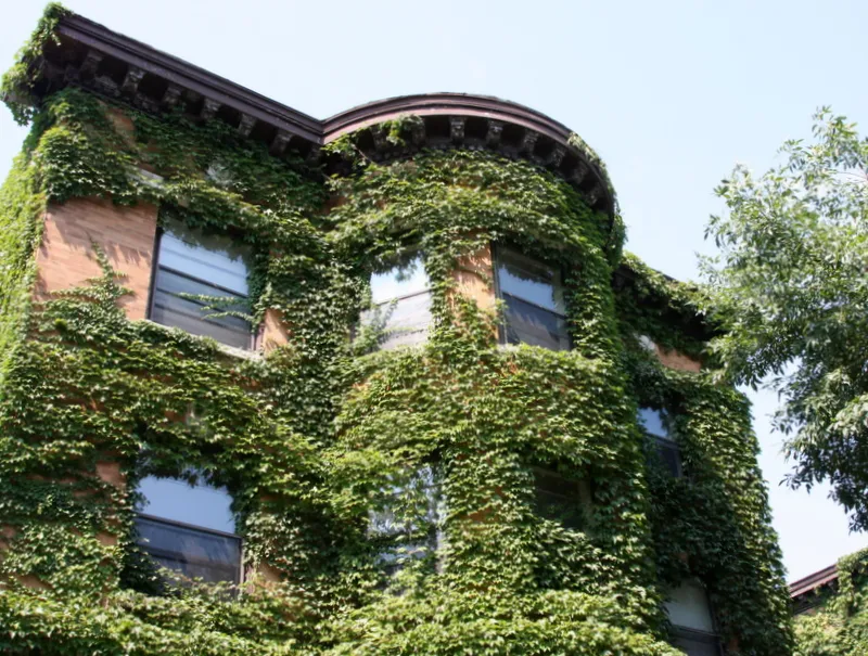 3414 N Elaine Place Apartments