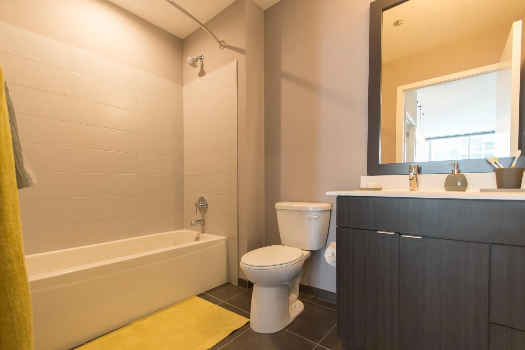 living room and skyline view at 1000 South Clark Apartments