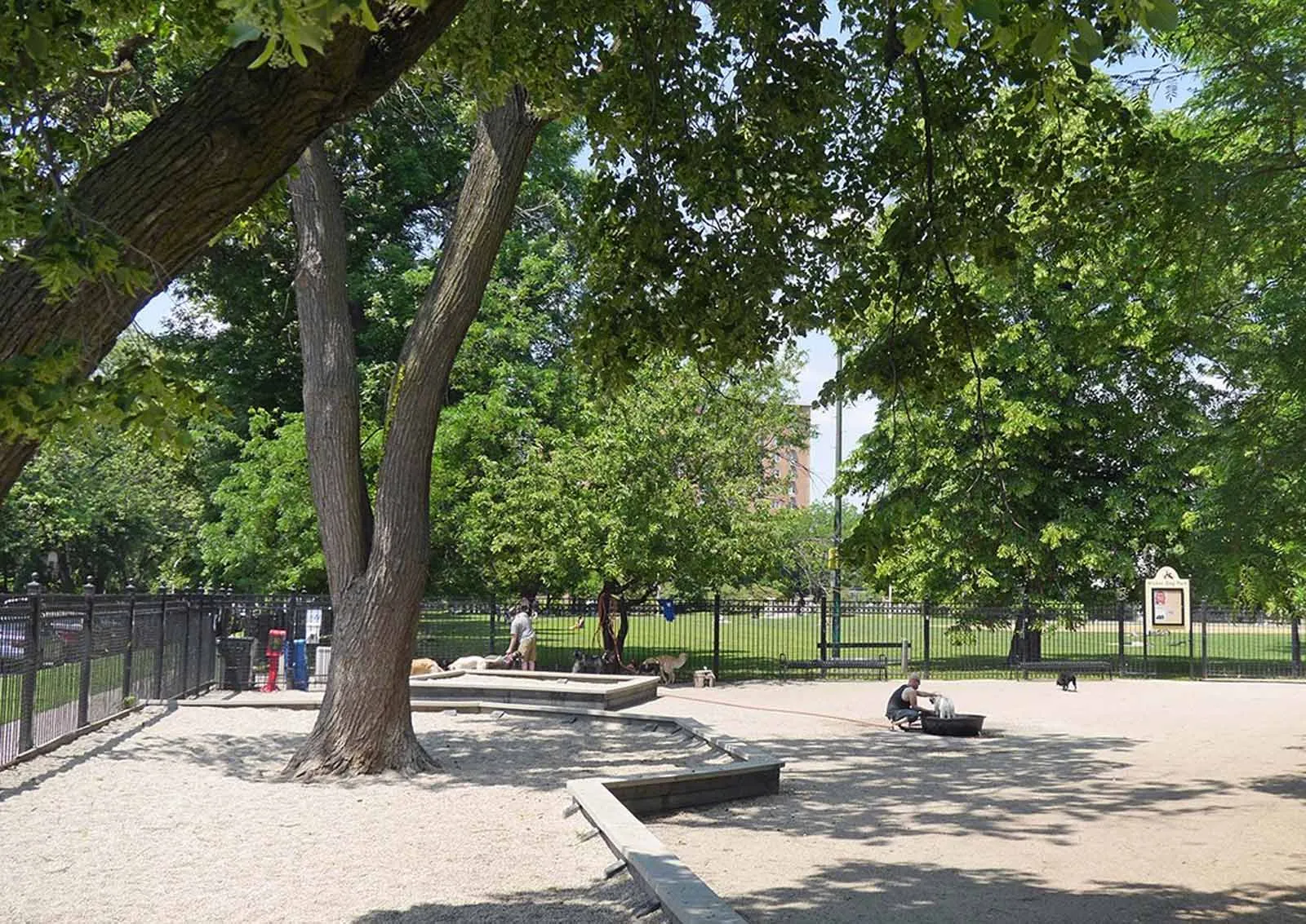 giant loft living room with wood floors at 1550 North Damen Lofts