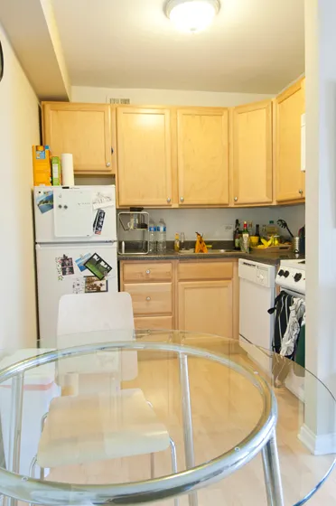 living rom with view from windows at 1575 Oak Apartments in Evanston IL