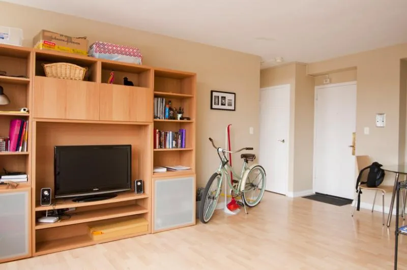 living rom with view from windows at 1575 Oak Apartments in Evanston IL