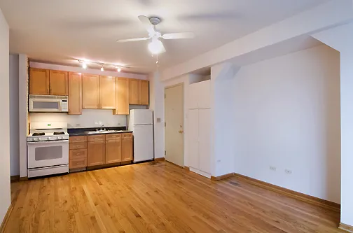 1624 W MORSE AVE 60626-unit#407-Chicago-IL