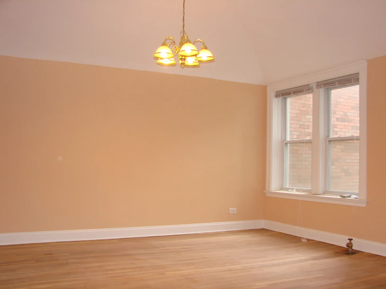 Hardwood floors throughout the entire apartment (excluding kitchen and bathroo)