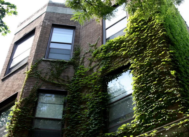 The Hampshire Apartments