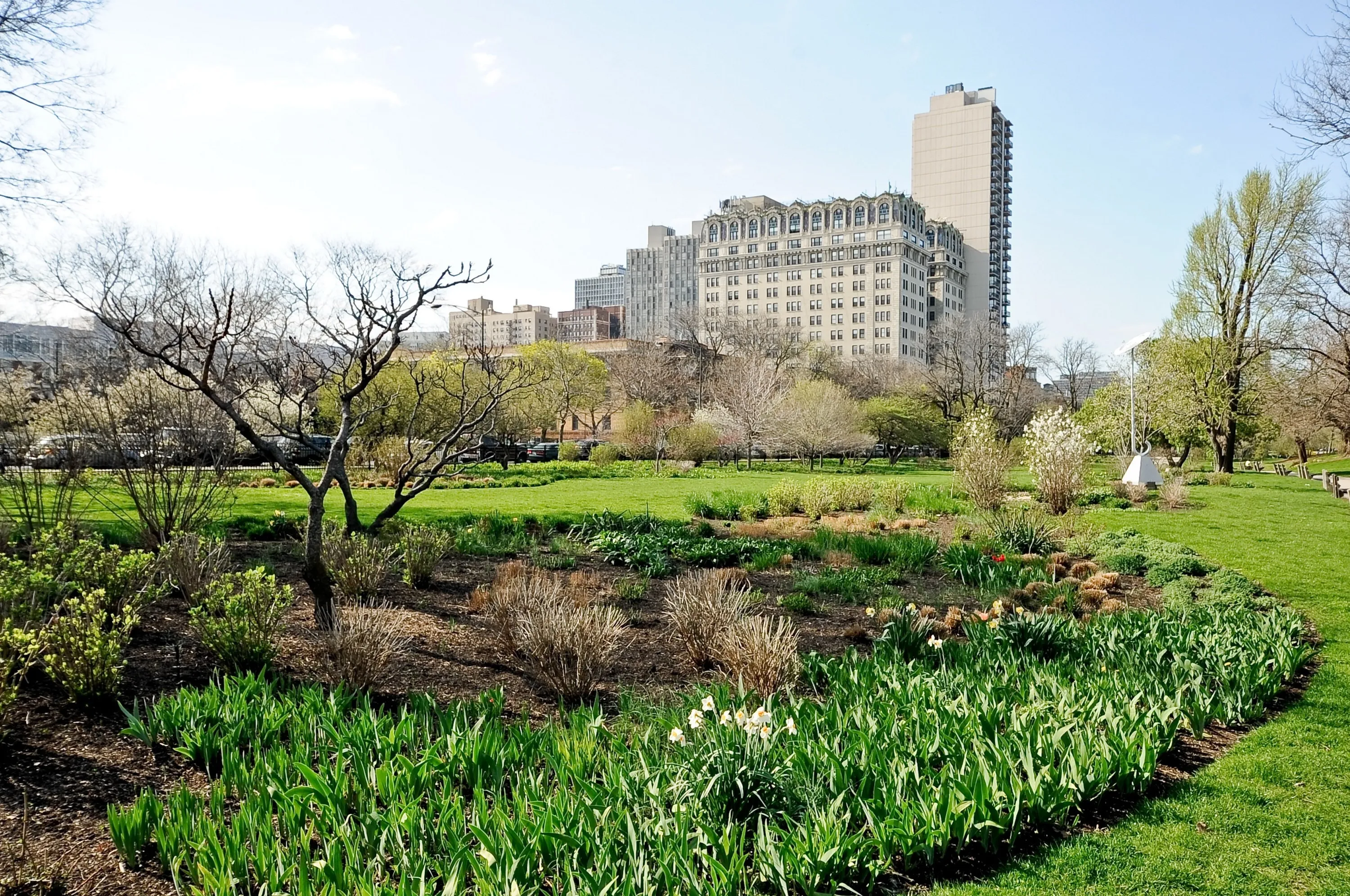 323 W WEBSTER AVE 60614-unit#03-Chicago-IL