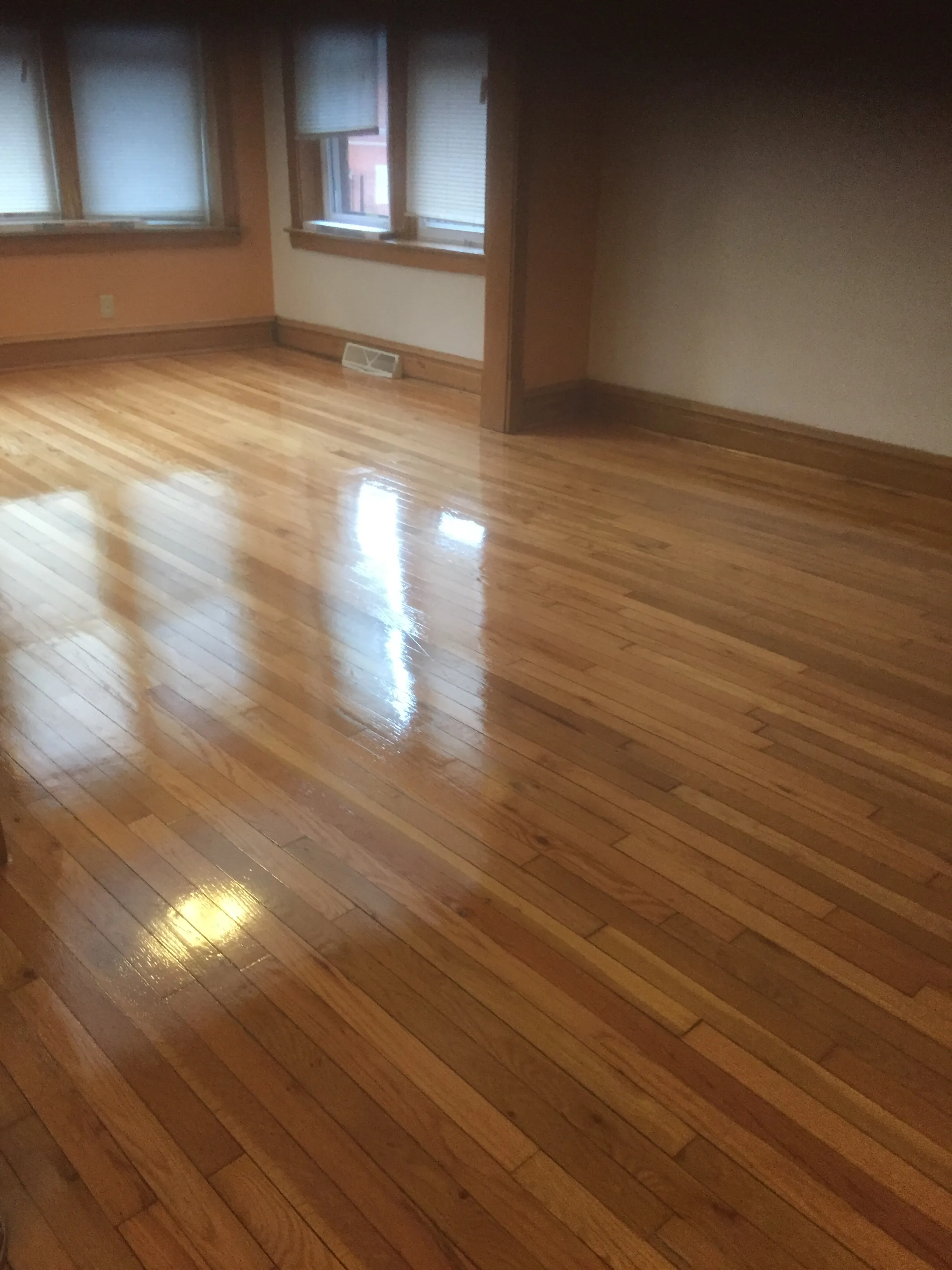 2711 W HADDON ST 60622-unit#1-Chicago-IL