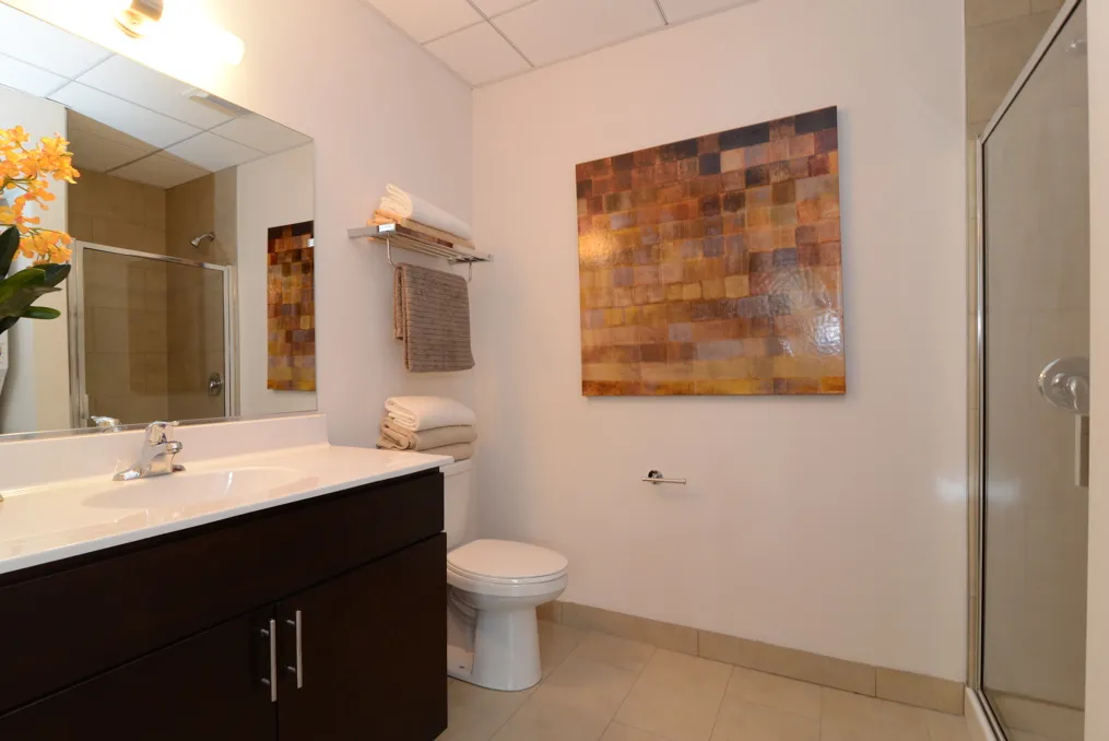 corner view of the historic Vesta Lofts in the south loop of chicago