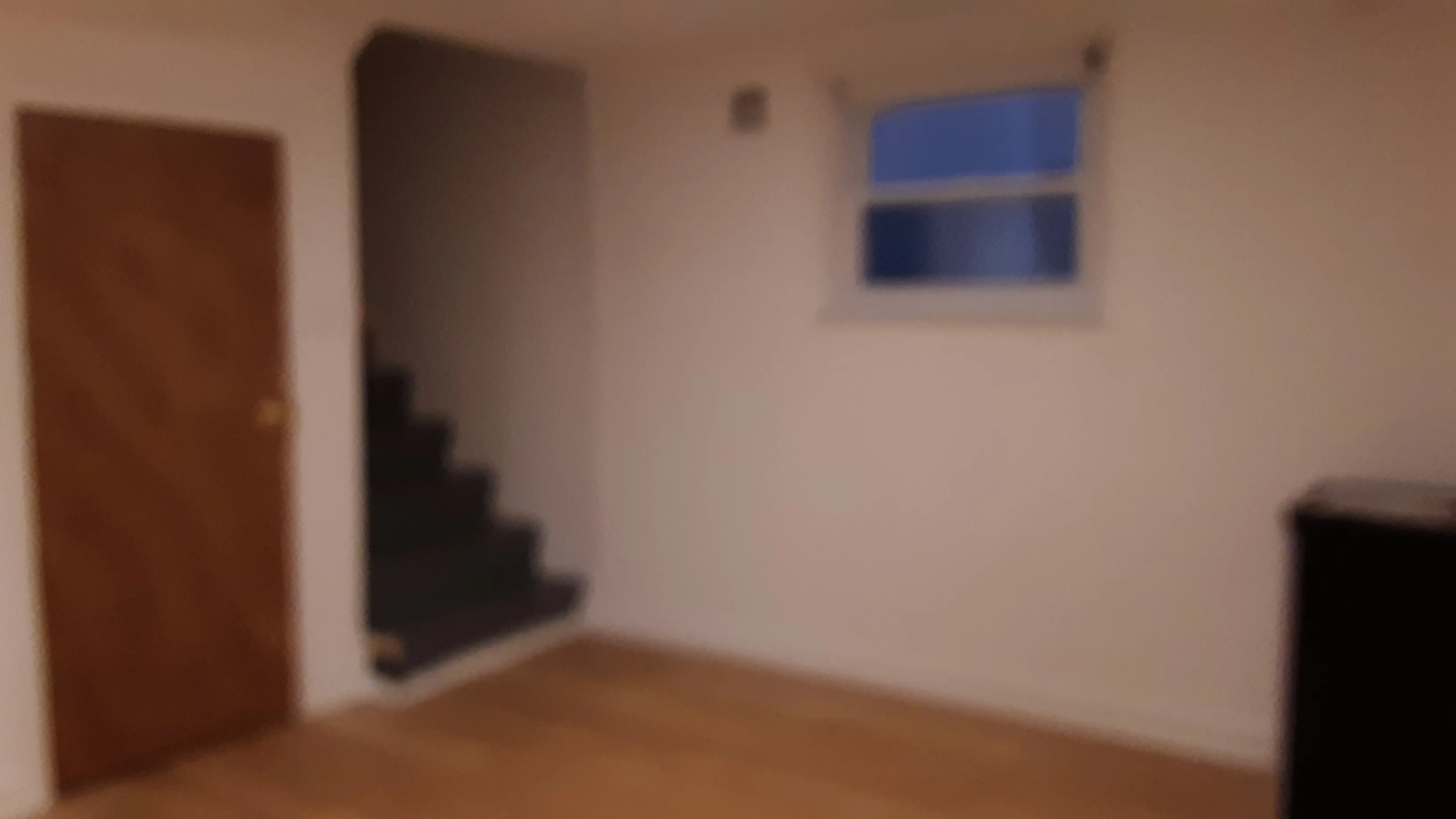 348 CUSTER AVE 60202-unit#1B-Evanston-IL