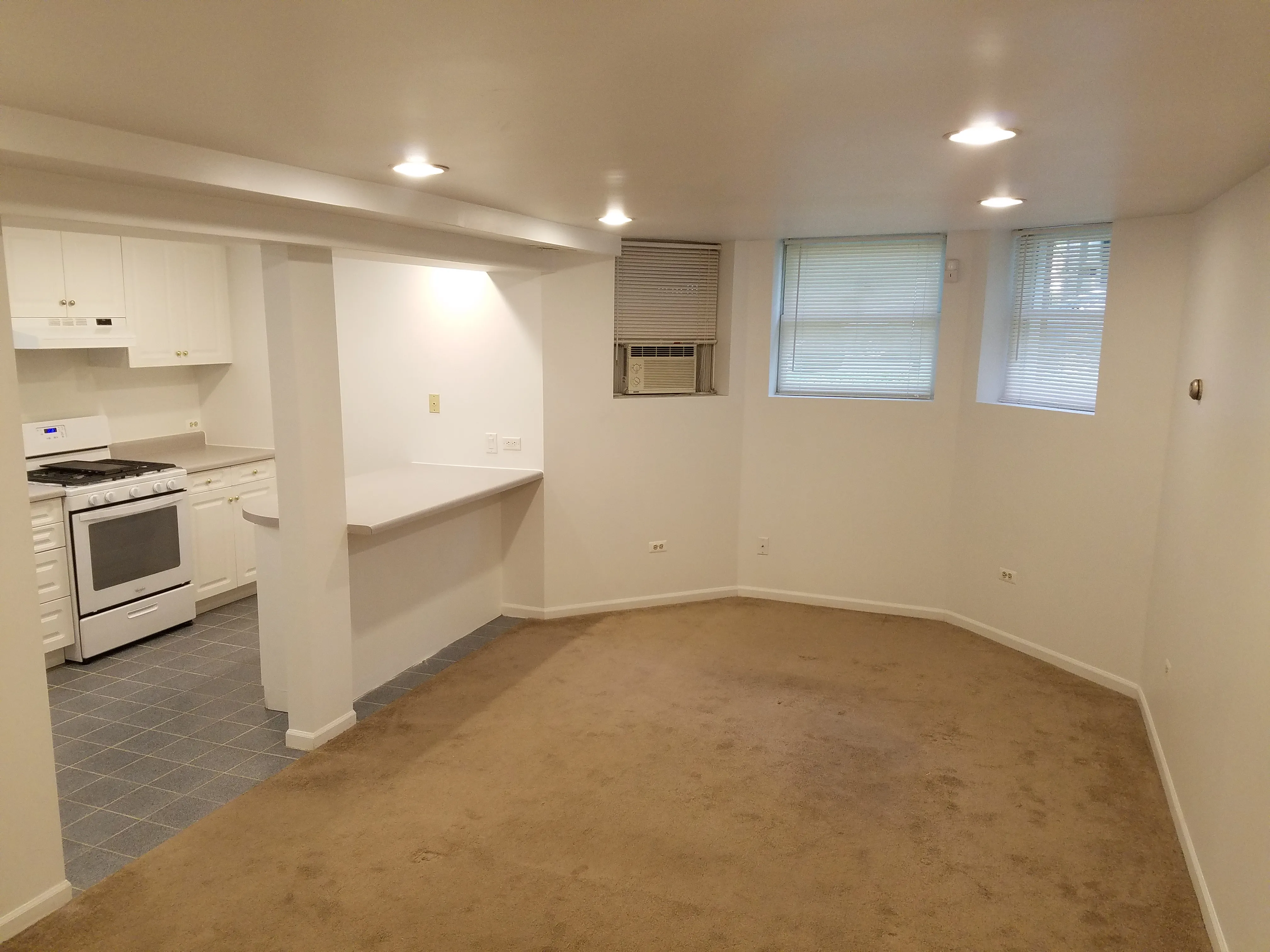 3642 N JANSSEN AVE 60613-unit#01-Chicago-IL