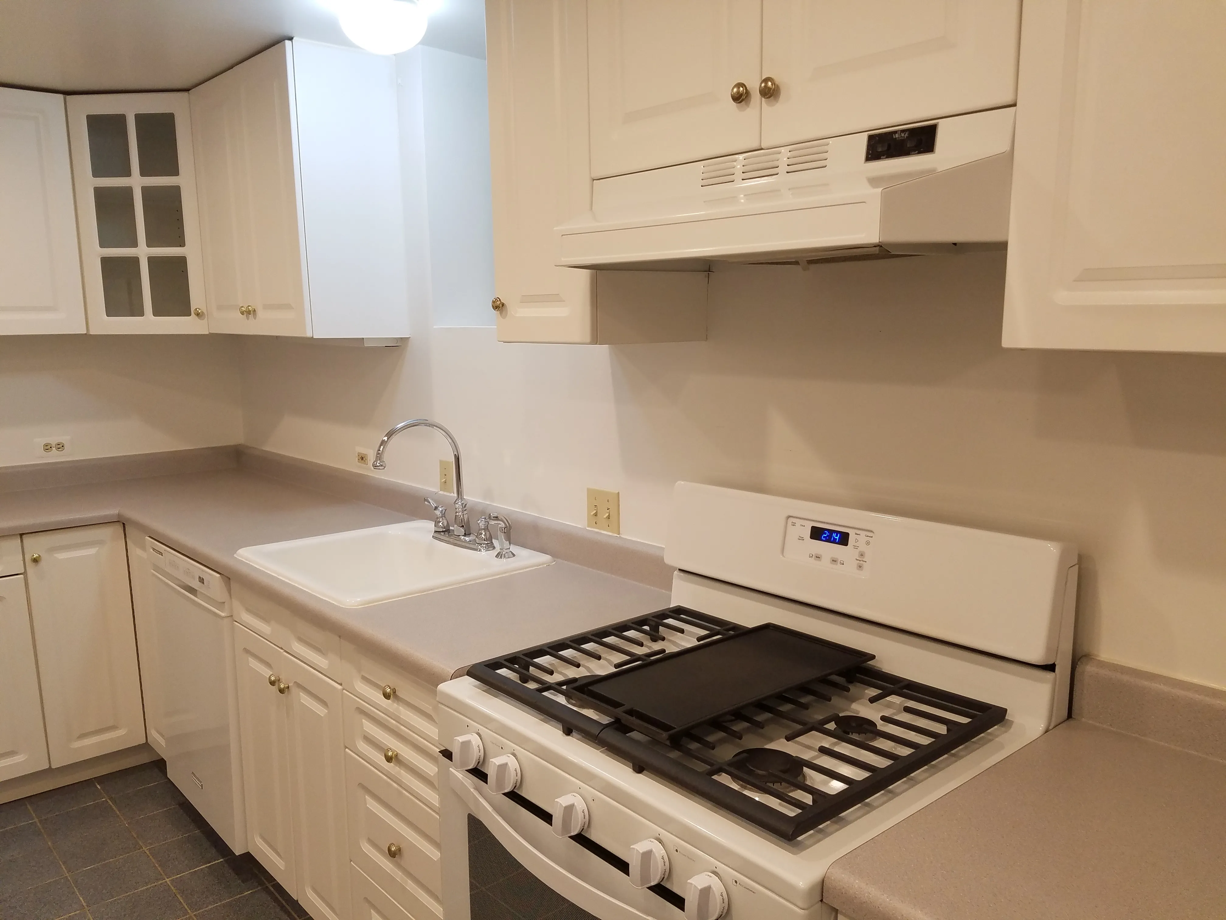 3642 N JANSSEN AVE 60613-unit#01-Chicago-IL
