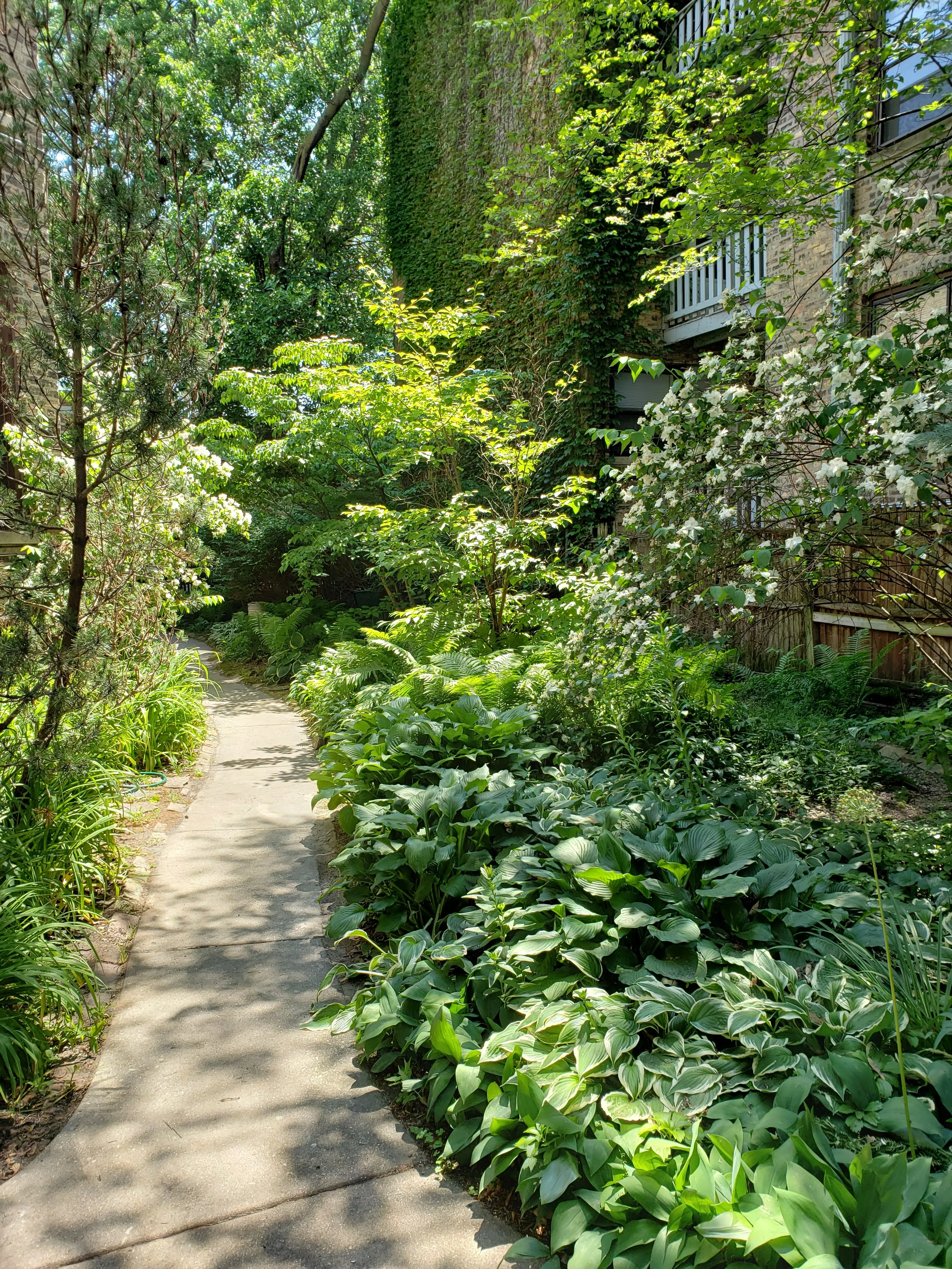 5018 N HERMITAGE AVE 60640-unit#1-Chicago-IL