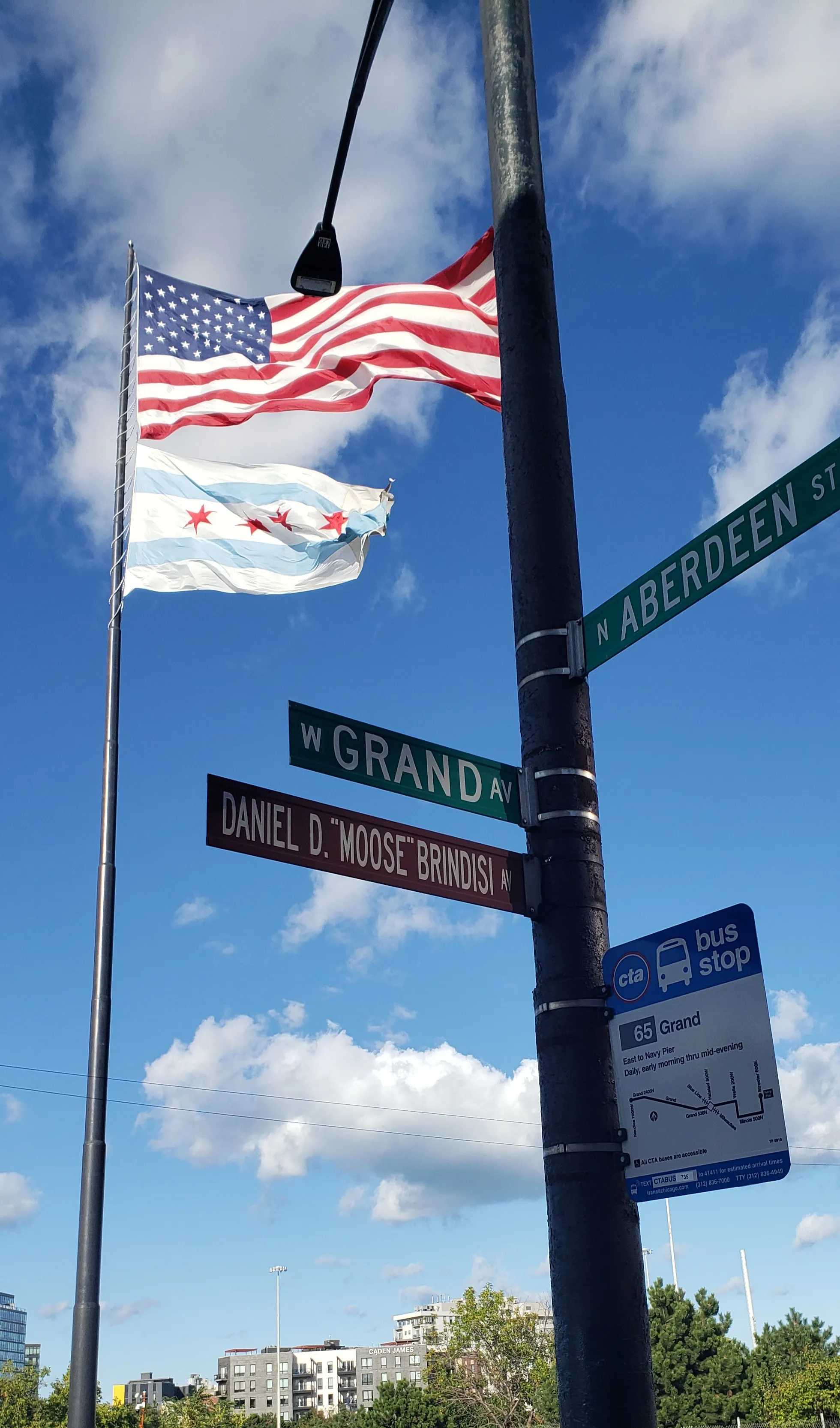 470 N ABERDEEN ST 60642-unit#1-Chicago-IL