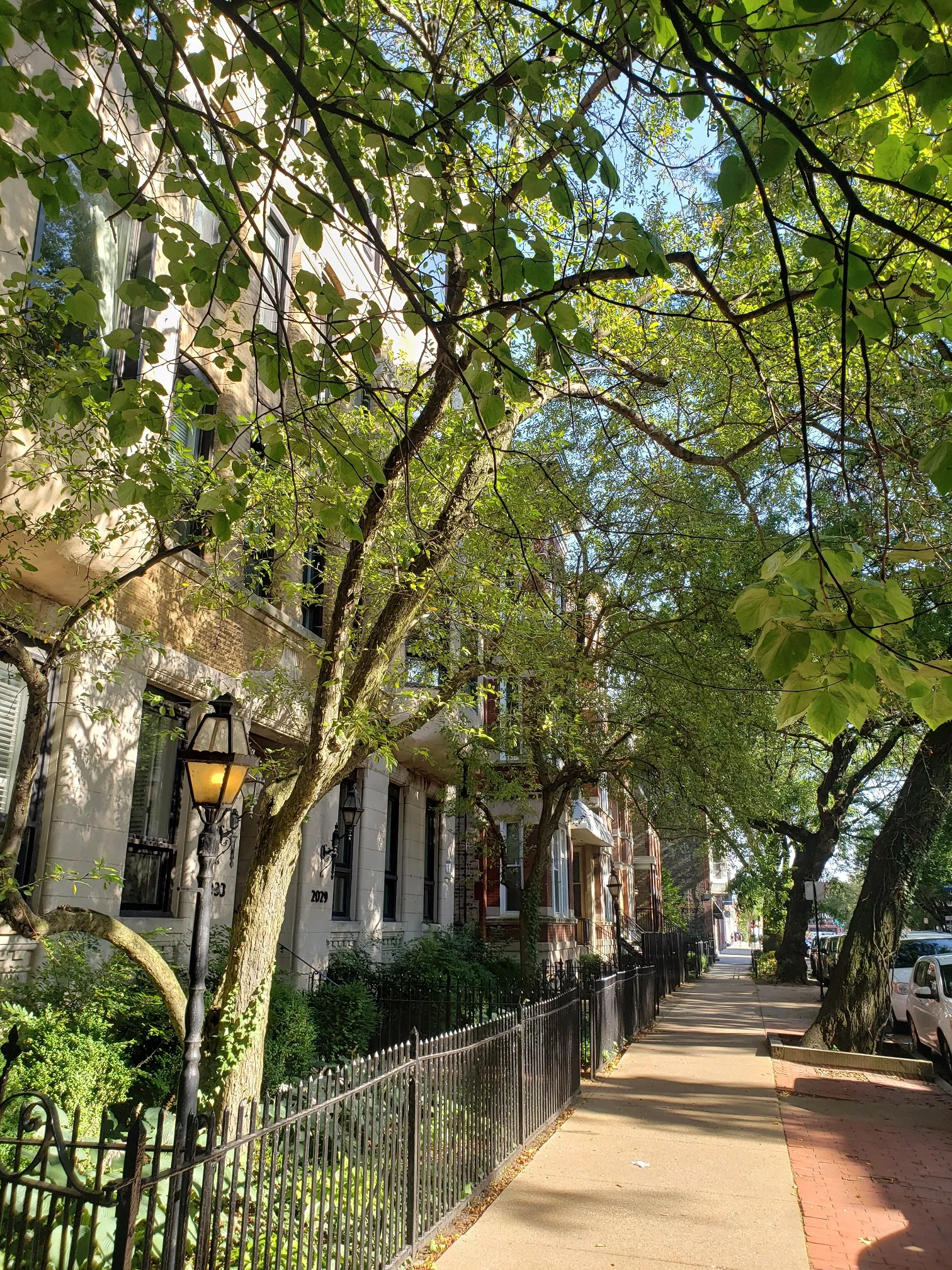 2029 N RACINE AVE 60614-A Room For Rent-unit#004A-Chicago-IL