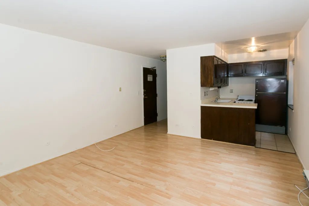 3825 N PINE GROVE AVE 60613-unit#219-Chicago-IL