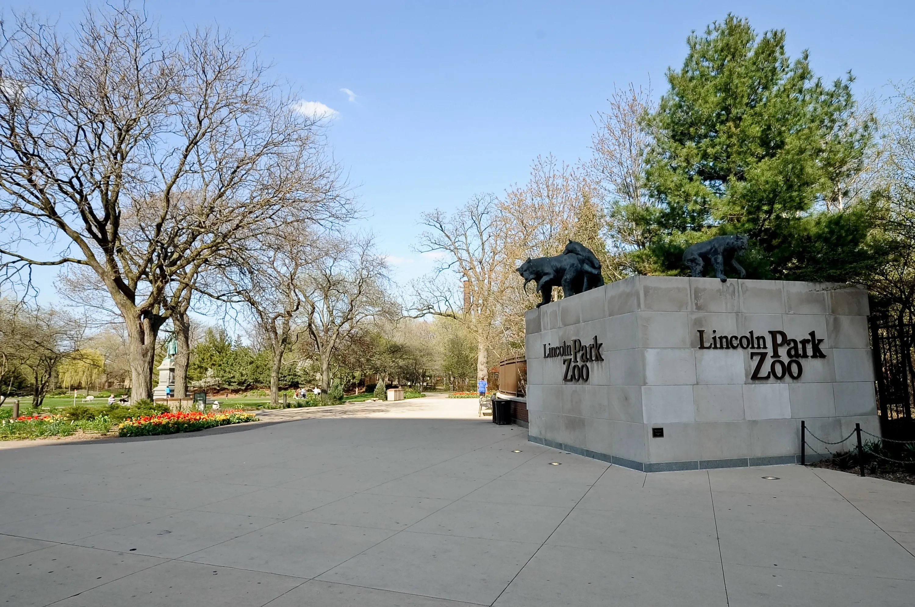 323 W WEBSTER AVE 60614-unit#03-Chicago-IL