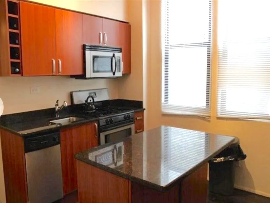 2824 N ORCHARD ST 60657-2824 N Orchard-Chicago-IL