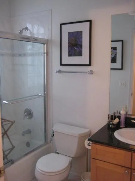 1st bathroom (shower w/tub and single sink)