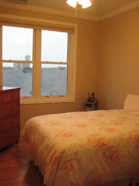 1st bedroom (fits queen size bed)