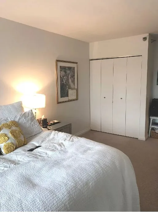 33 W ONTARIO ST 60654-Millenium Centre-unit#26f-Chicago-IL