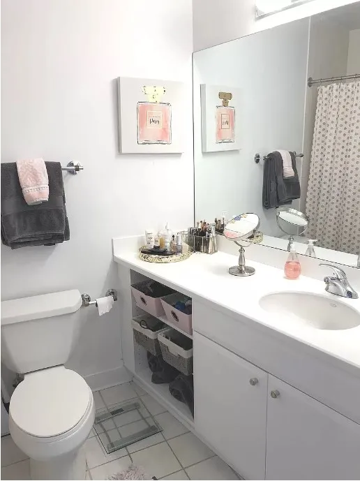 33 W ONTARIO ST 60654-Millenium Centre-unit#26f-Chicago-IL