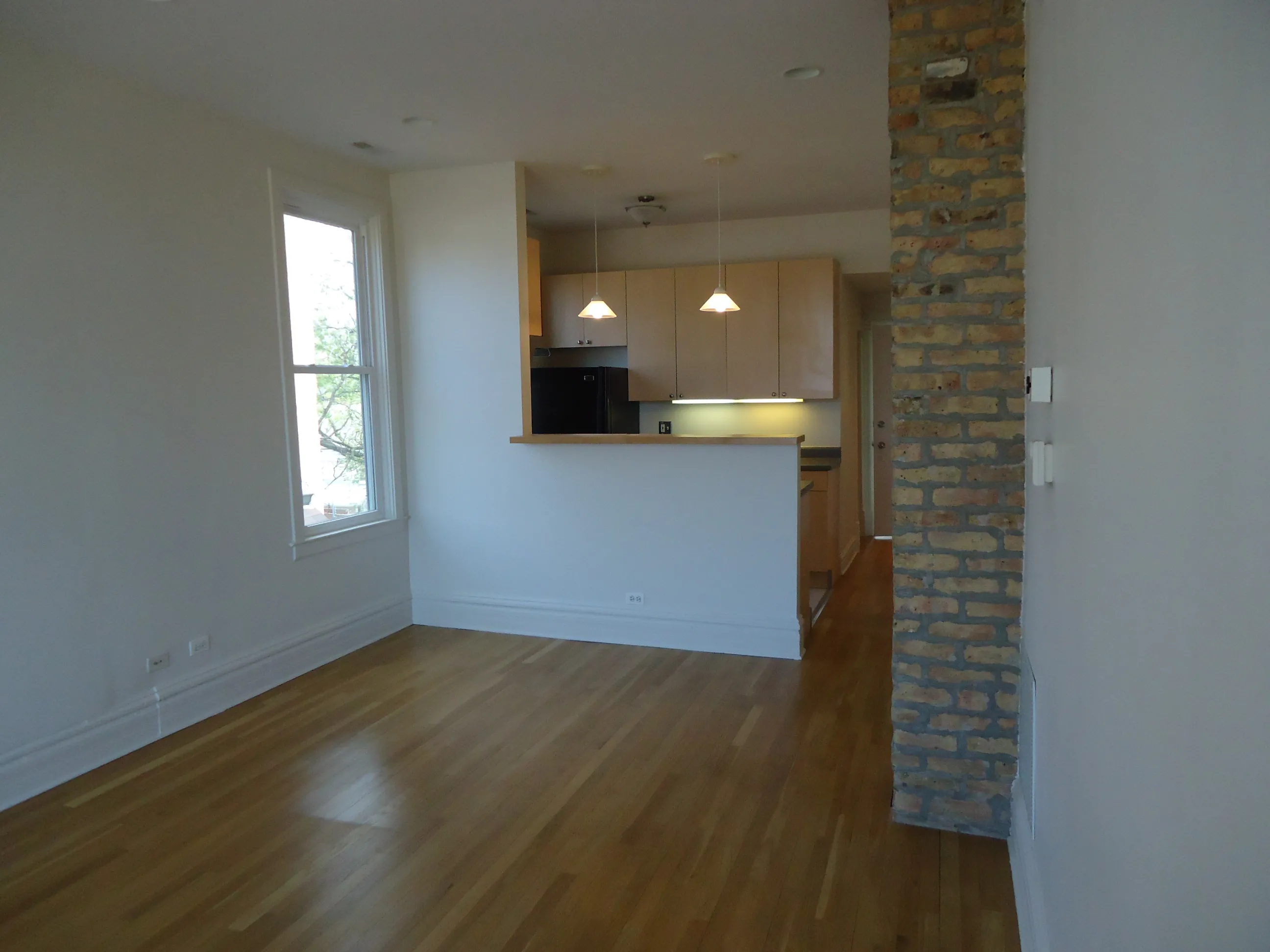 2545 W HOMER ST 60647-unit#03-Chicago-IL