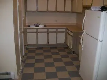 4001 S ELLIS AVE 60653-4001 S Ellis-Chicago-IL