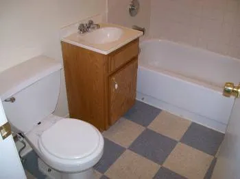 4001 S ELLIS AVE 60653-4001 S Ellis-Chicago-IL