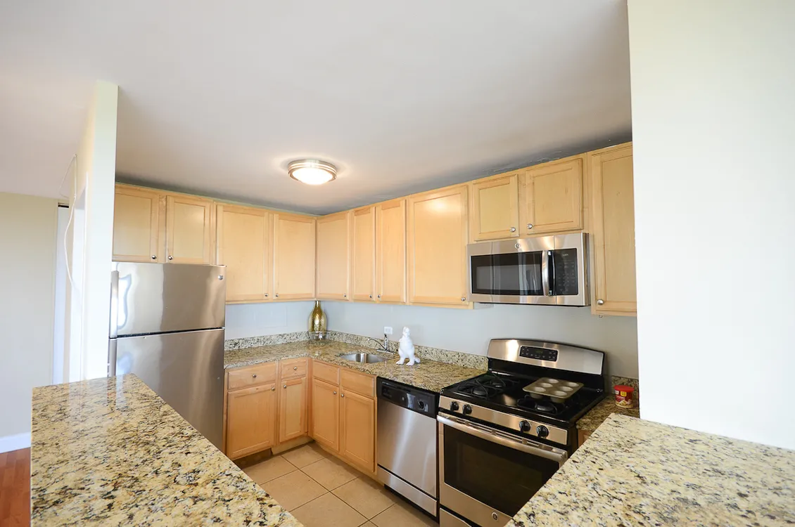 4100 N MARINE DR 60613-4100 N. Marine Dr.-Chicago-IL